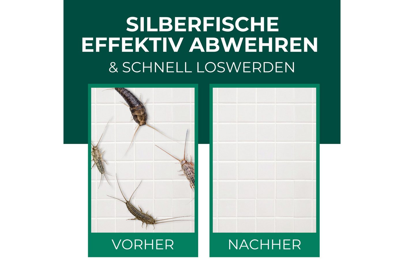 Thumbnail - Silberkraft Insektenfalle Silberfischfalle – Effektive Lösung gegen Silberfische & Papierfische
