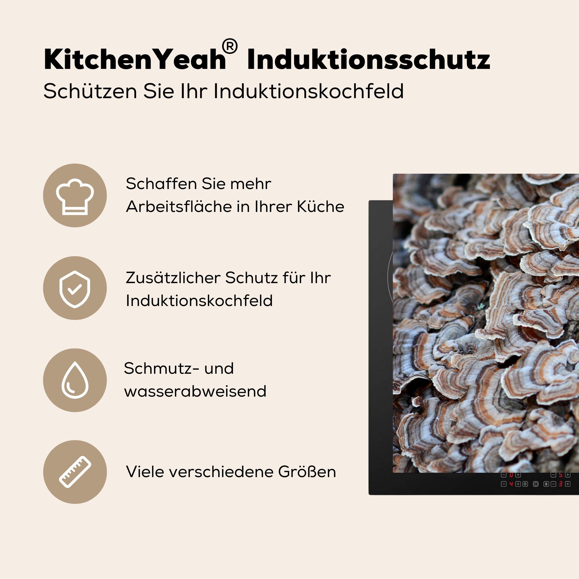 Baum, MuchoWow auf cm, für Vinyl, küche, Herdblende-/Abdeckplatte Induktionskochfeld 81x52 (1 die Schutz tlg), einem Ceranfeldabdeckung Pilze
