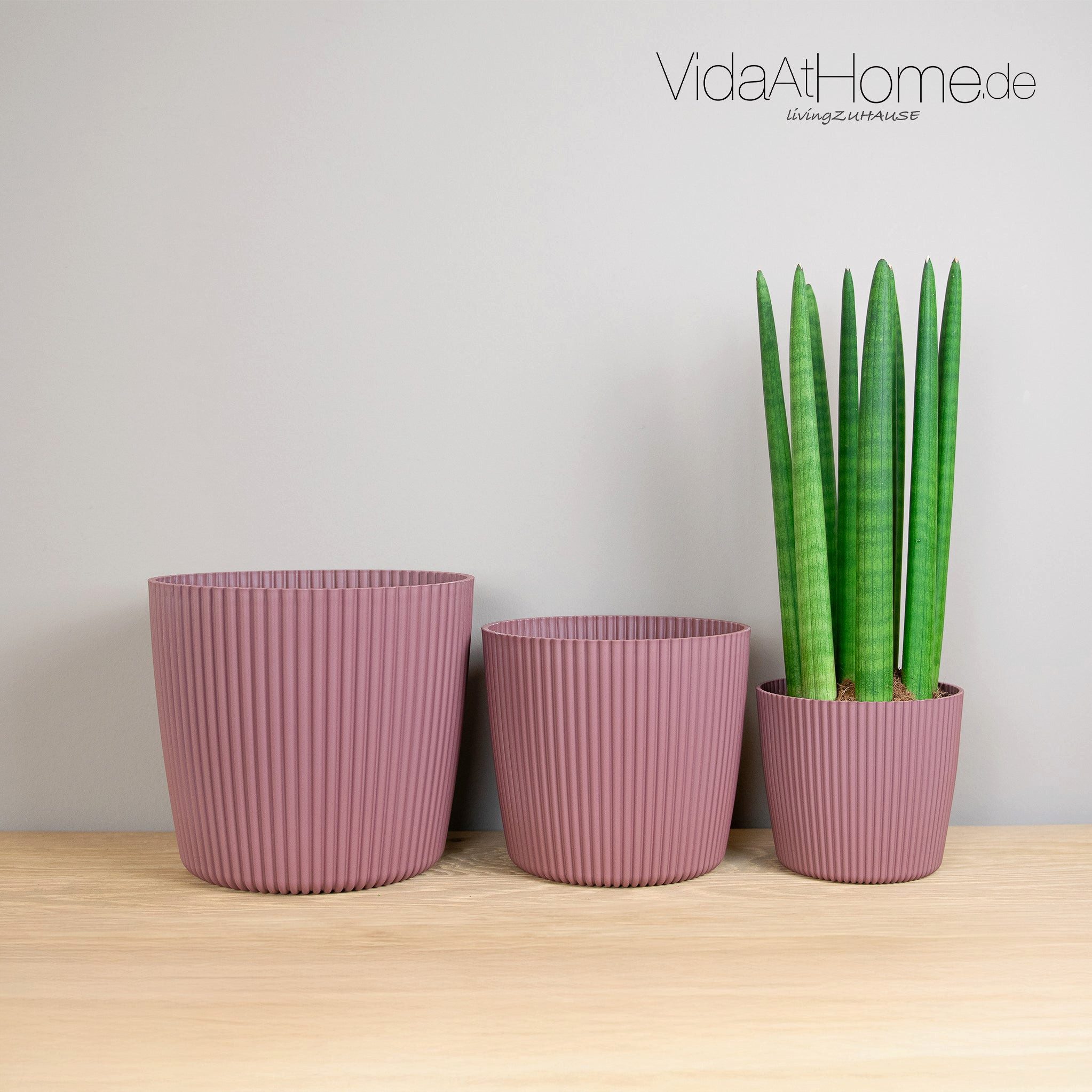 VidaAtHome.de Blumentopf Blumentopf LUCY ø 15er, günstig online kaufen