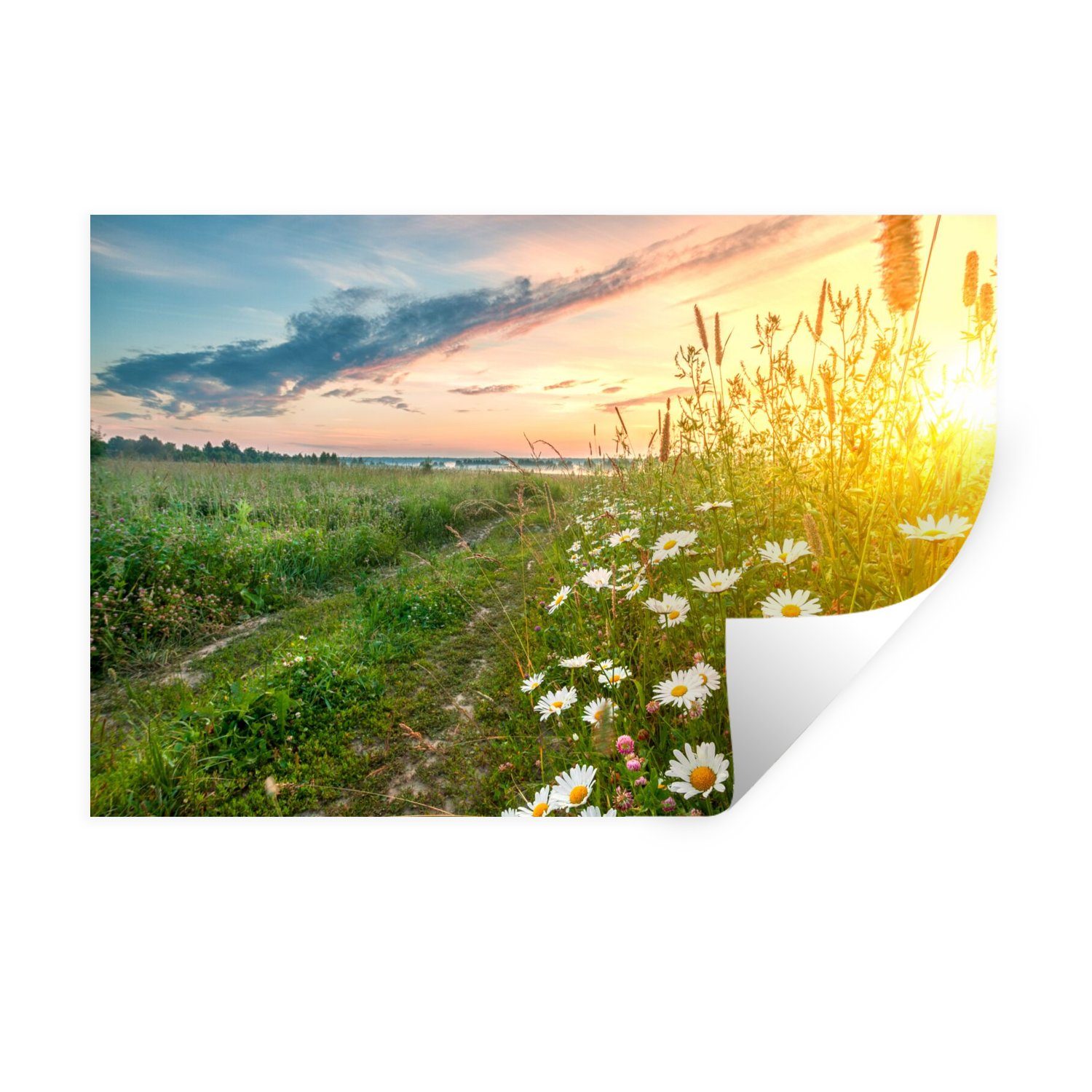 MuchoWow Wandsticker Blumen - Gänseblümchen - Natur - Sonne - Horizont (1 St), Wandtattoo, Selbstklebend, Wohnzimmer, 30x20 cm