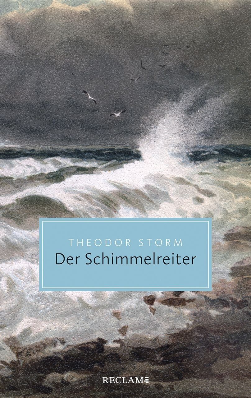 Schulbuch Der Schimmelreiter Novelle Theodor Storm