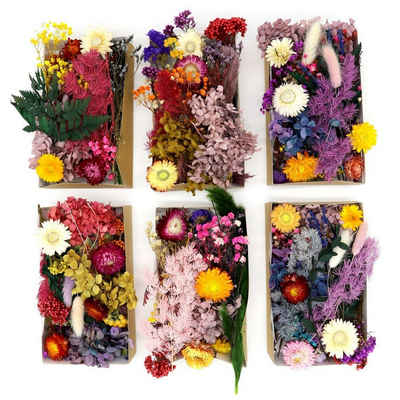 Trockenblume »Große Box mit getrockneten Blumen«, Kunstharz.Art