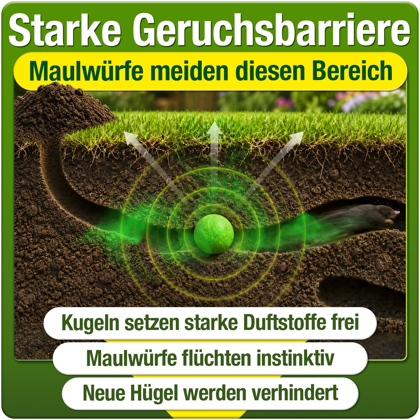 HEIMWERT Vergrämungsmittel Heimwert Maulwurfkugeln, 100 Stück, 2-St., Vorteilspackung, Giftfrei, geräuschlos, Langzeitwirkung bis zu 85 Tage, Made in Germany – Bild 4 von 5