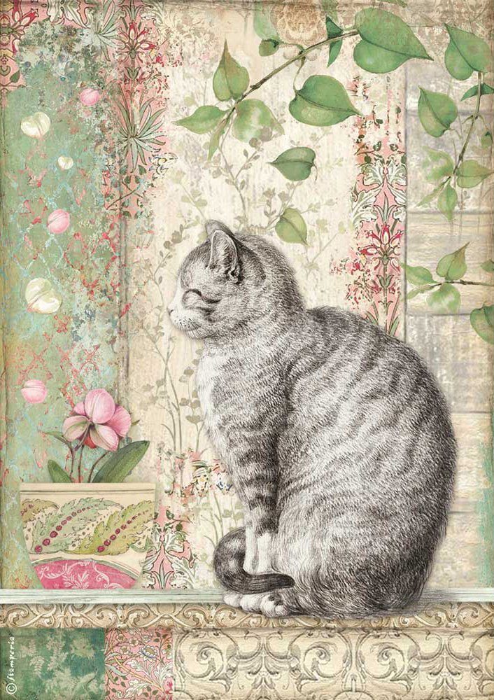 Stamperia Seidenpapier »Katze und Orchidee«, DIN A4 online