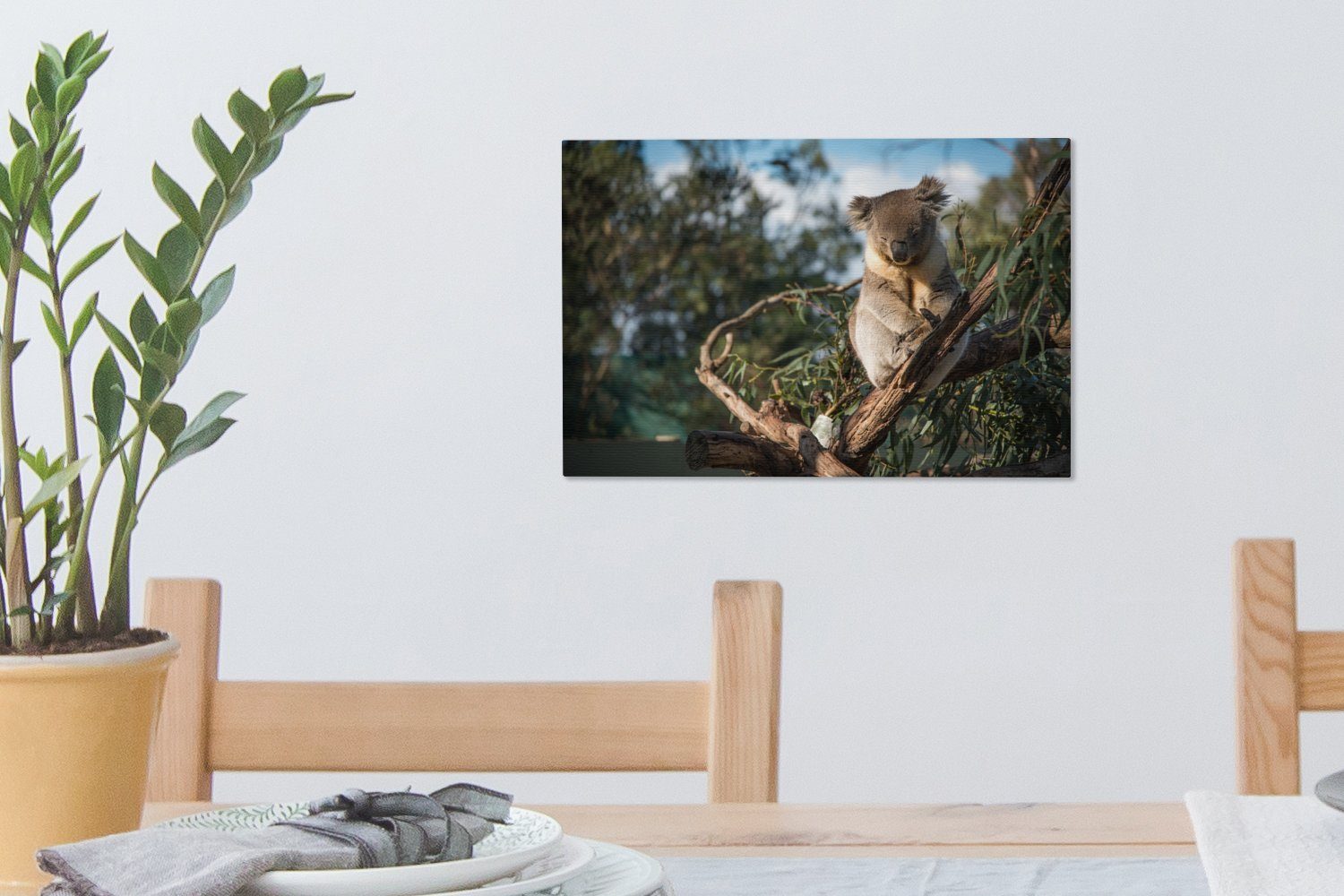 (1 30x20 St), OneMillionCanvasses® cm Wanddeko, Koala - Leinwandbild Australien, Eukalyptus Wandbild Leinwandbilder, Aufhängefertig, -