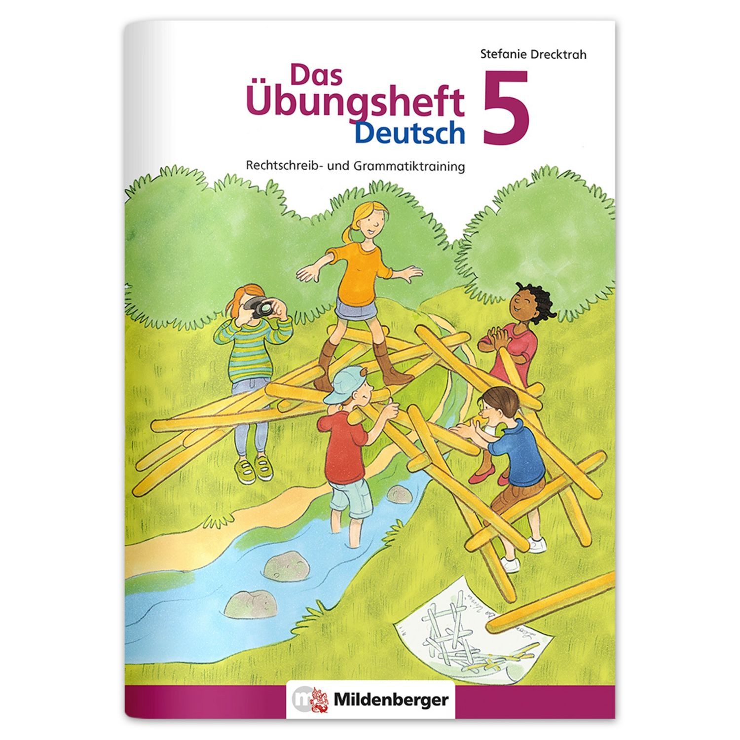 Das Übungsheft Deutsch 5 / Stefanie Drecktrah