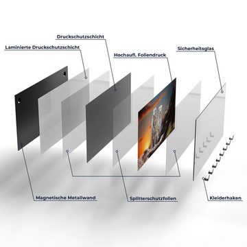 DEQORI Kleiderhaken 'Weiße Tiger im Abendlicht', Glas Garderobe Paneel magnetisch beschreibbar
