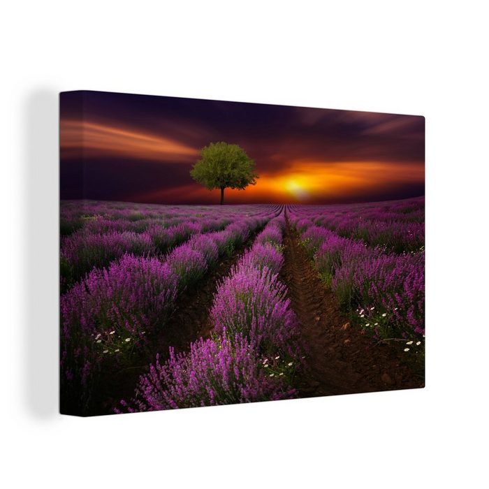 OneMillionCanvasses® Leinwandbild Schönes Lavendelfeld in einer dunklen Nacht mit Sonnenuntergang (1 St) Wandbild Leinwandbilder Aufhängefertig Wanddeko