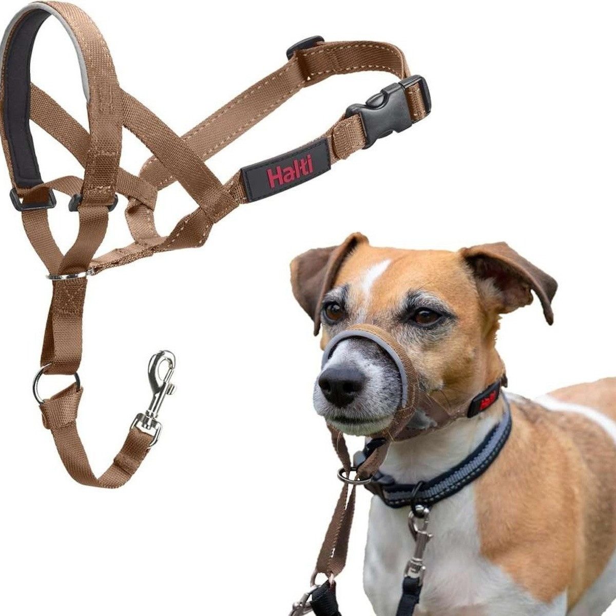 HALTI Hunde-Erziehungsgeschirr Kopfgeschirr/Headcollar sand