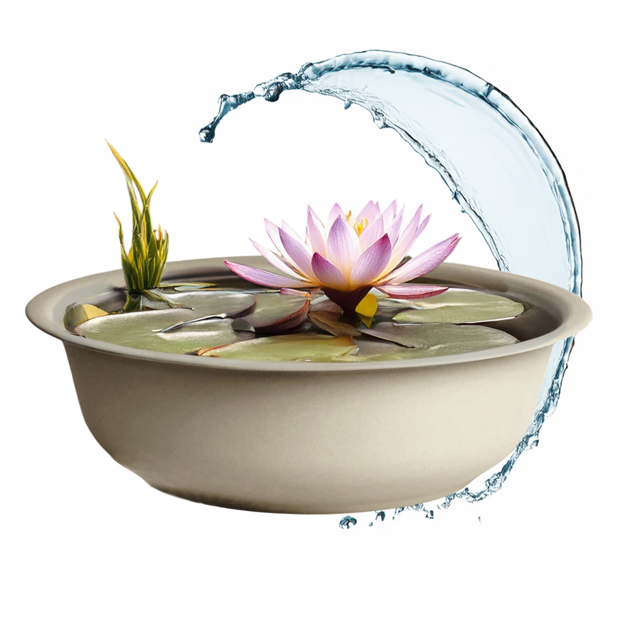 Spetebo Pflanzkübel - Mini Teich Garten Schale (Anzahl, 1 St., Stück), wetterfestes und robustes Material