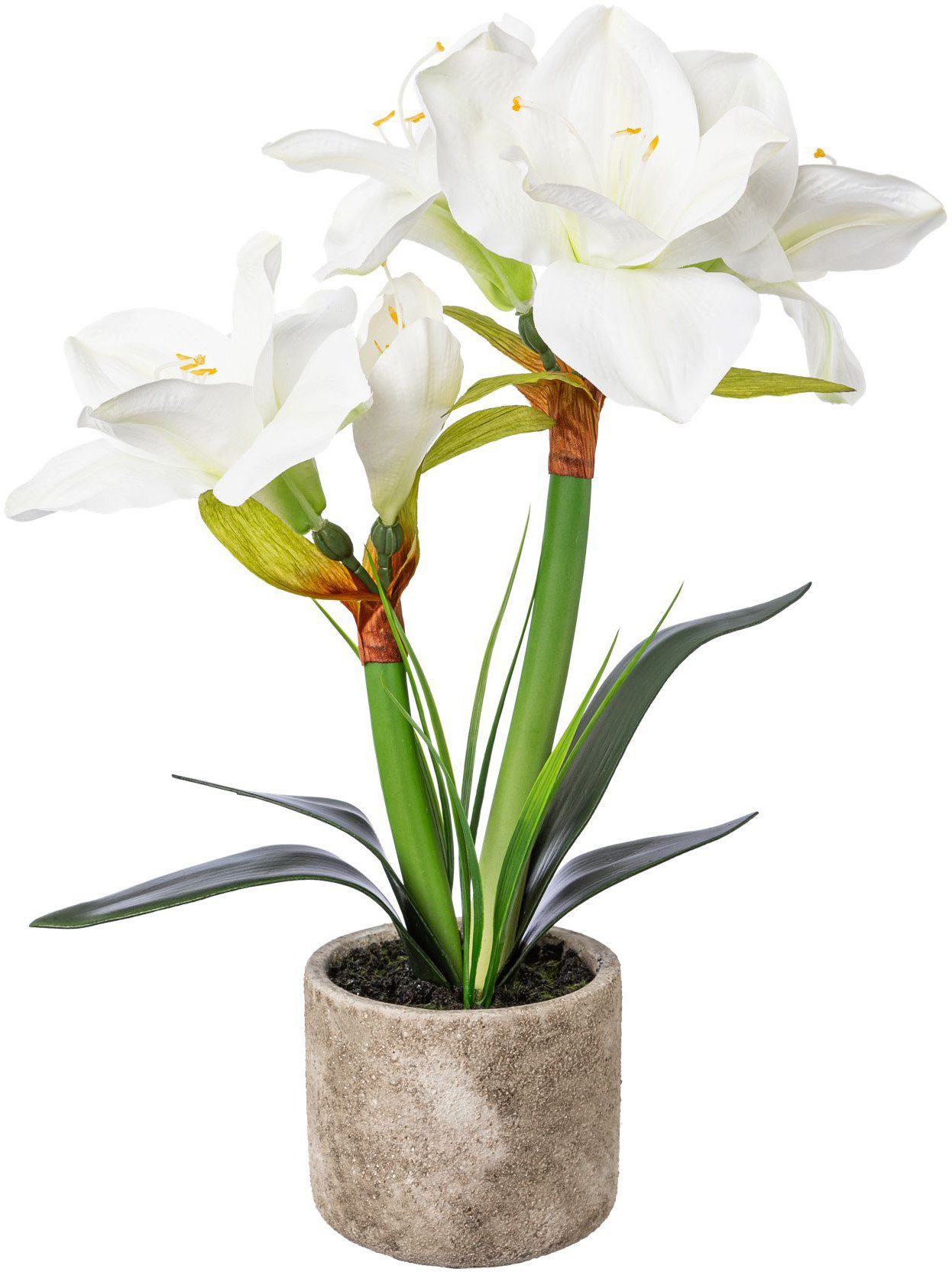 Winterliche Kunstpflanze Weihnachtsdeko Amaryllis, Creativ deco, Höhe 42 cm günstig online kaufen
