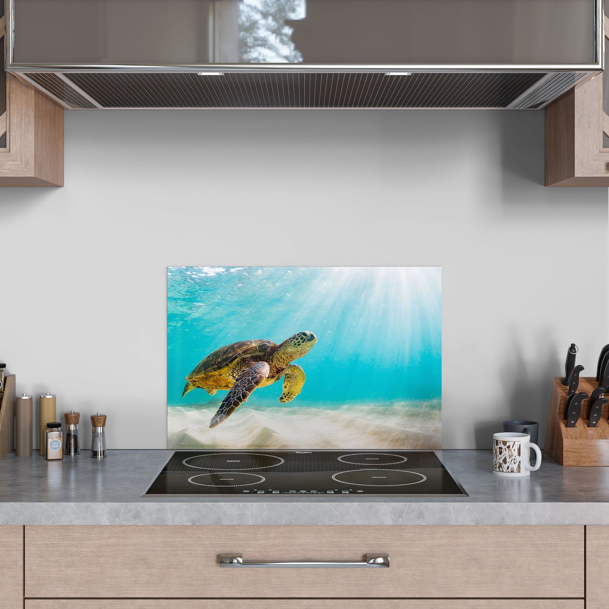 Badrückwand DEQORI Küchenrückwand Wasser', Glas Herdblende 'Schildkröte unter Spritzschutz