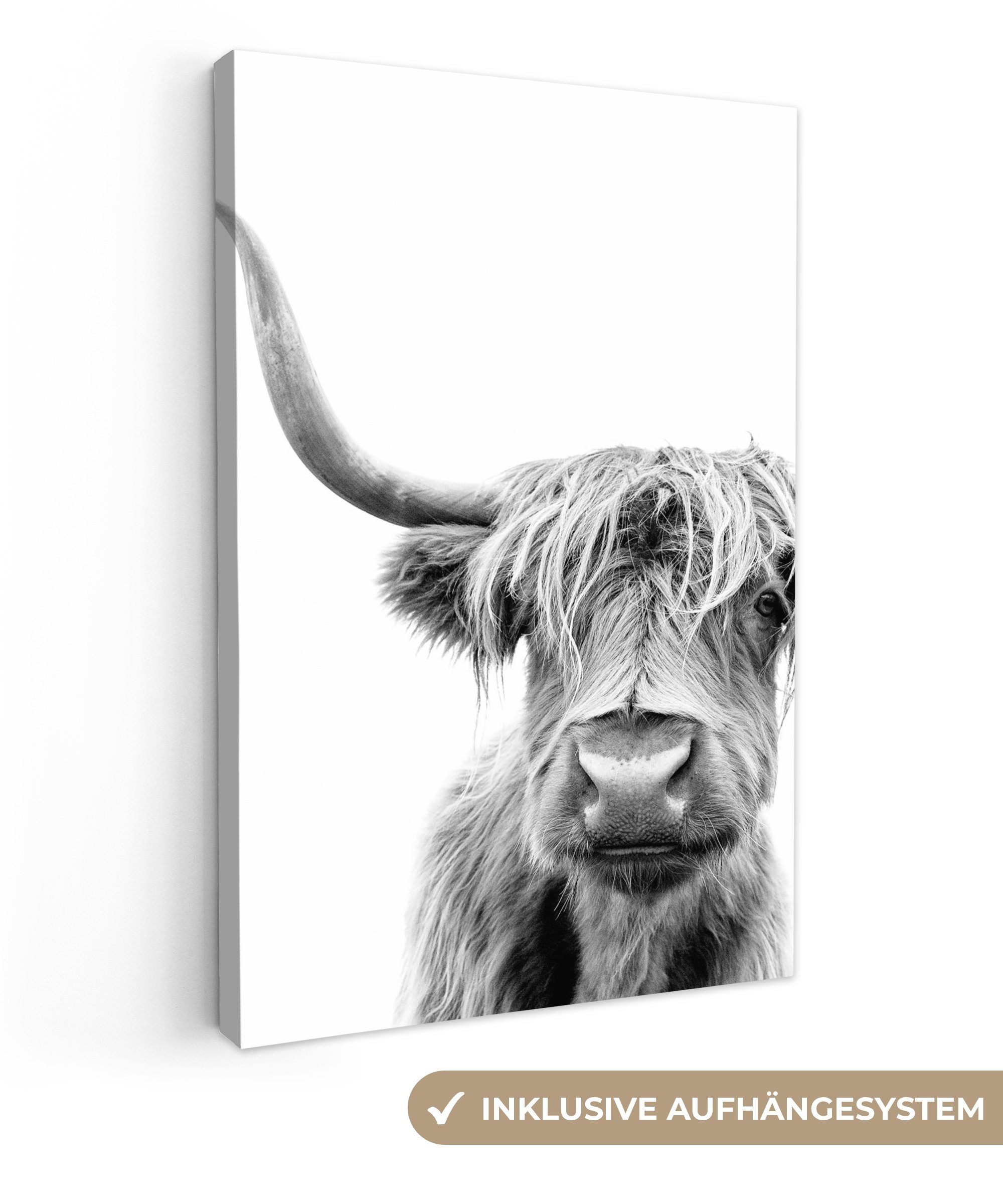 OneMillionCanvasses® Leinwandbild Schottischer Highlander - Tiere - Schwarz - Weiß, (1 St), Leinwandbild fertig bespannt inkl. Zackenaufhänger, Gemälde, 20x30 cm