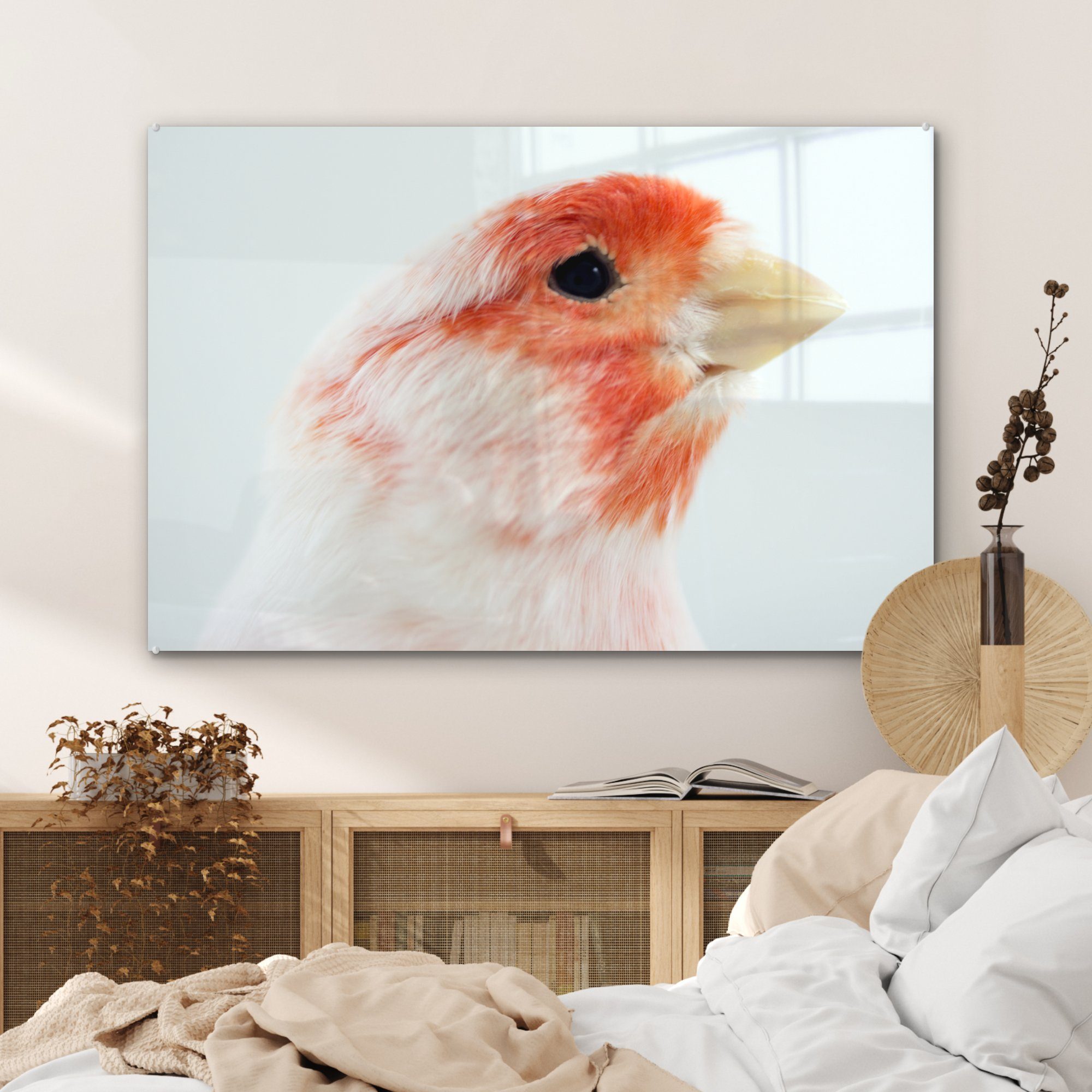 Schlafzimmer Kanarienvogel, & (1 Acrylglasbilder MuchoWow Wohnzimmer und weißer Roter Acrylglasbild St),