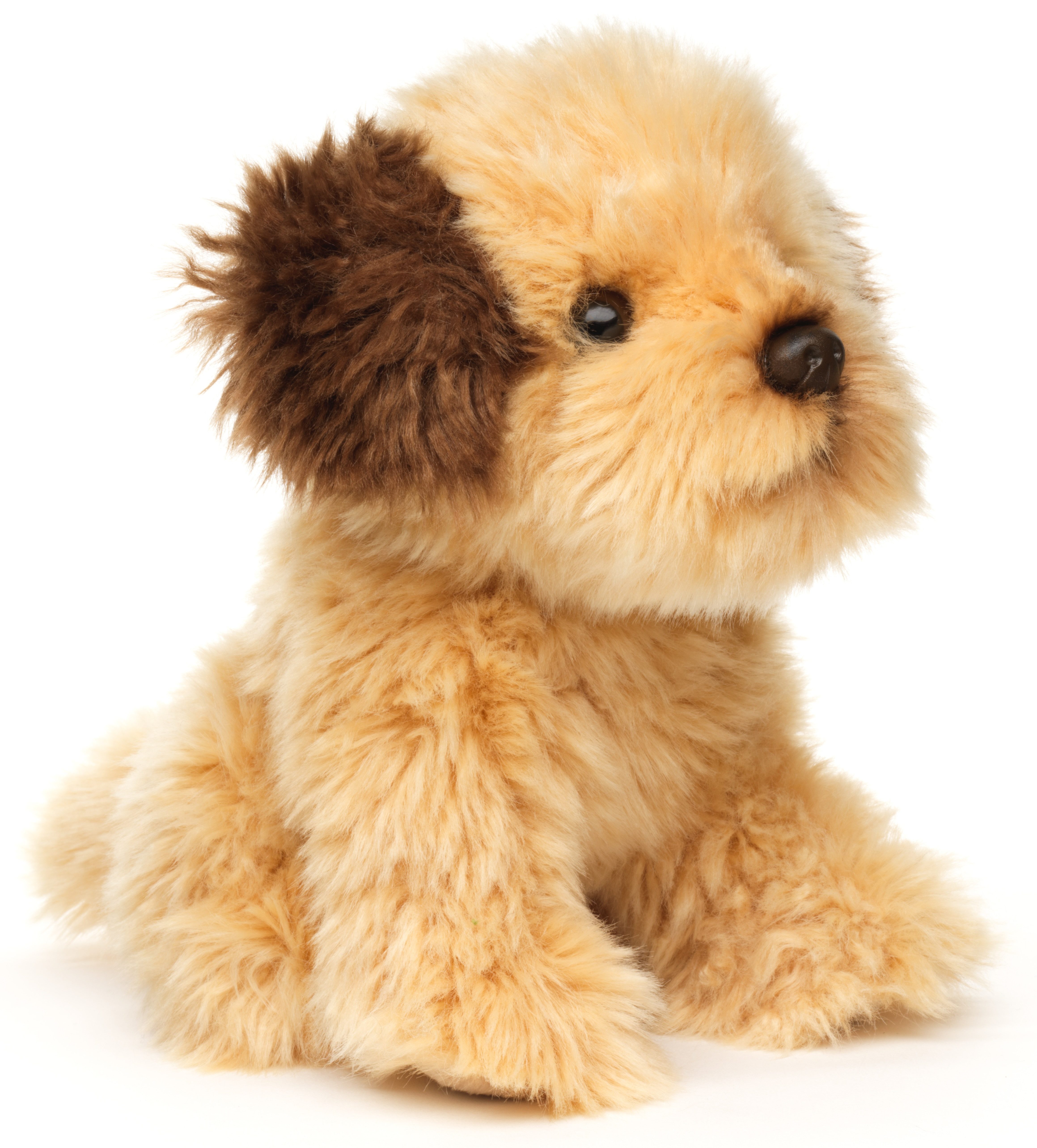 Uni-Toys Kuscheltier Shih Tzu Doodle od. Cockapoo - 18 cm (Höhe) - Plüsch-H günstig online kaufen