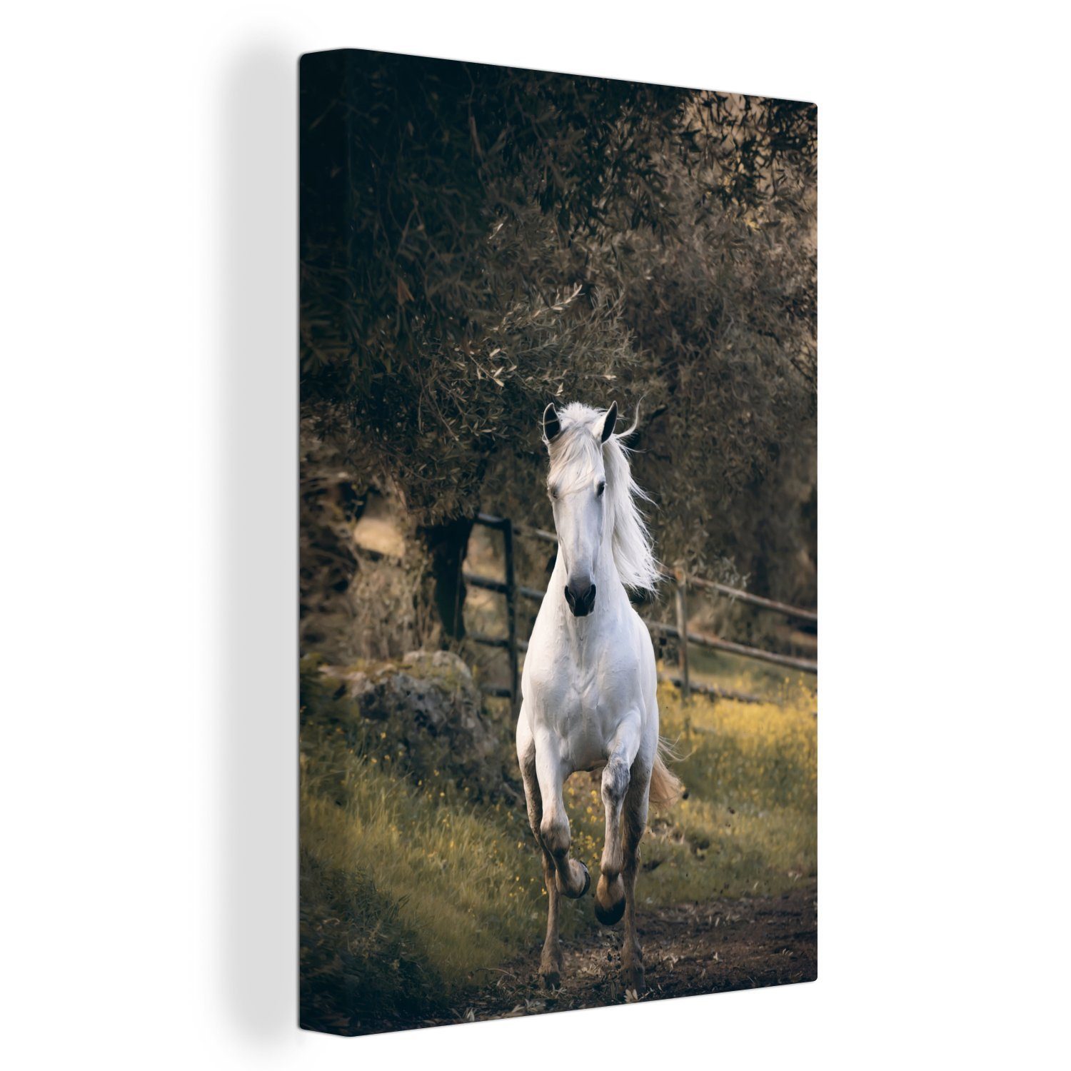 OneMillionCanvasses® Leinwandbild Ein laufendes Pferd in einem Olivenhain, (1 St), Leinwandbild fertig bespannt inkl. Zackenaufhänger, Gemälde, 20x30 cm