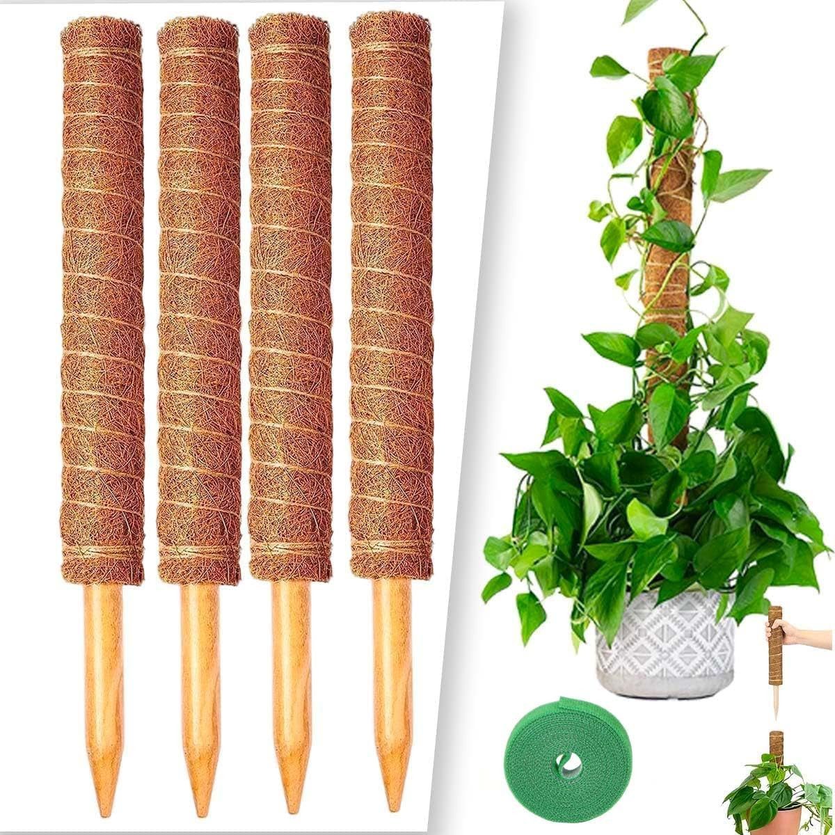 UE Stock Rankhilfe 4 Stück Monstera günstig online kaufen