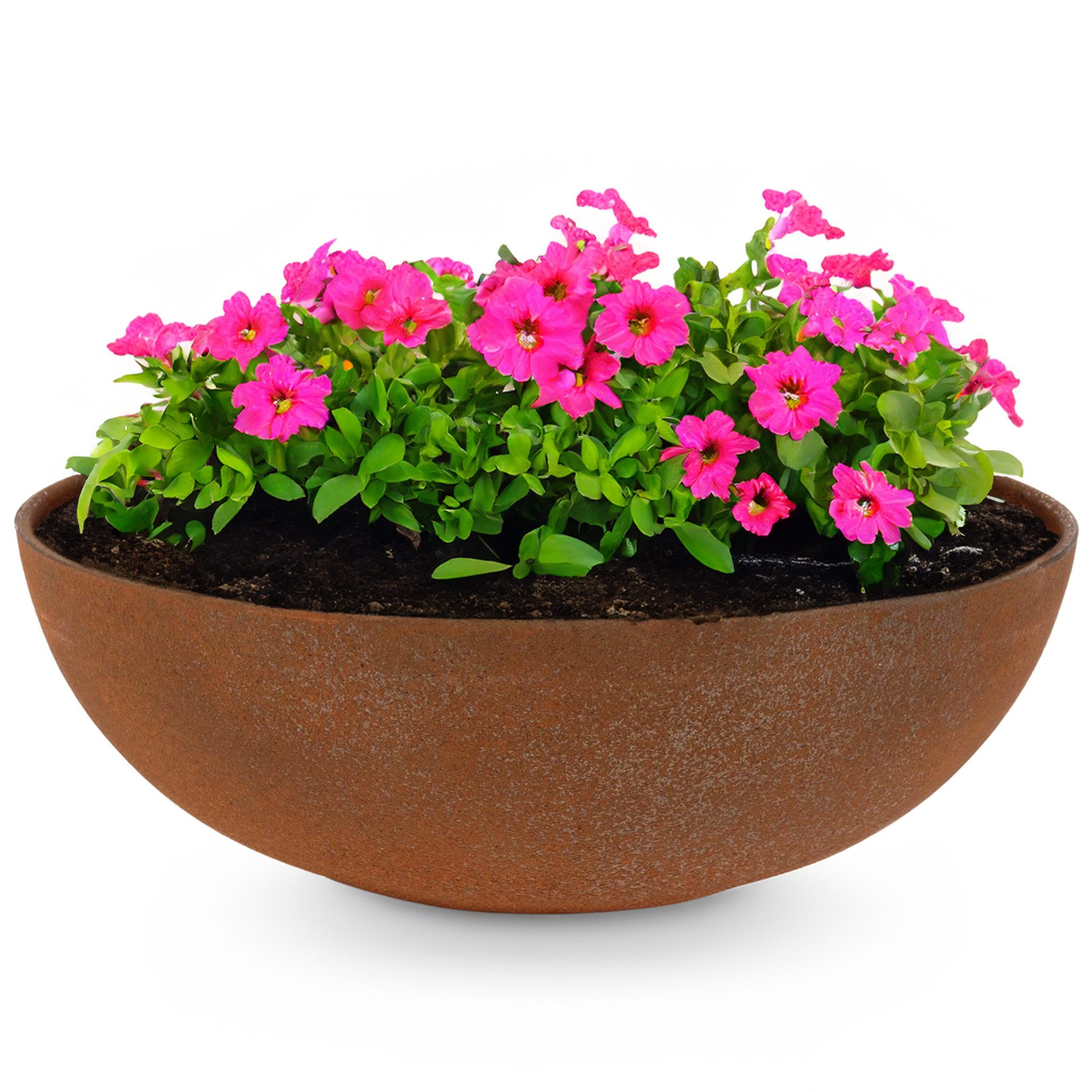 matches21 HOME & HOBBY Blumentopf Pflanzschale günstig online kaufen