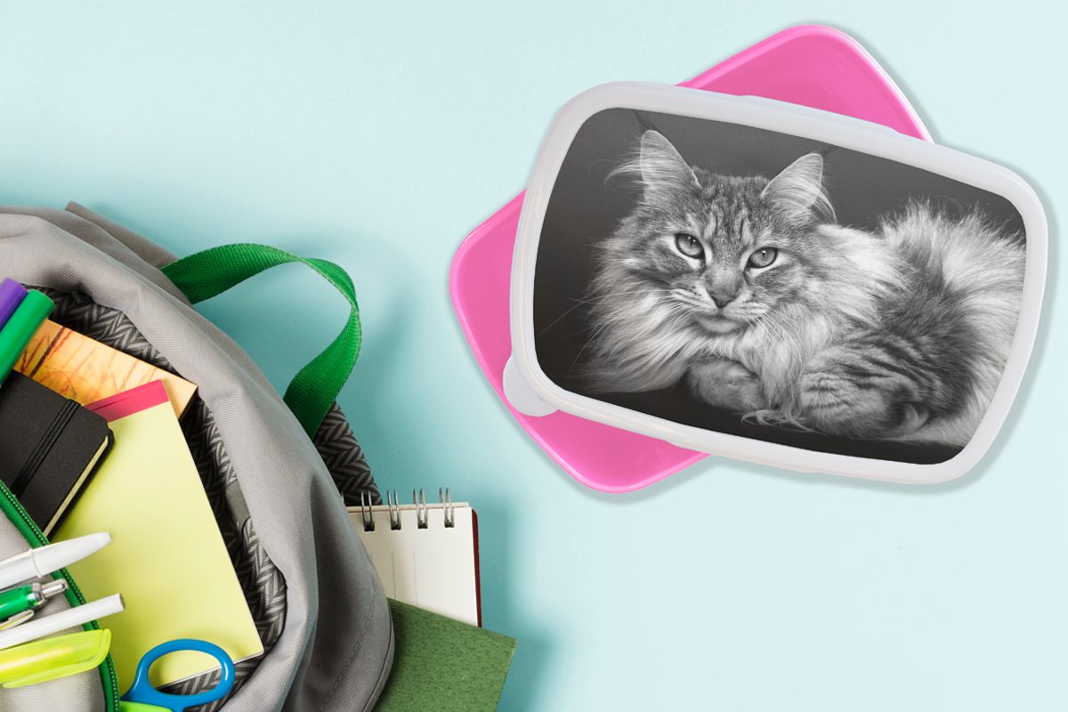 liegende MuchoWow und schwarz schöne Eine Katze Lunchbox Kinder, Mädchen, Coon Erwachsene, Maine Kunststoff Kunststoff, rosa weiß, - (2-tlg), für Brotbox Brotdose Snackbox,