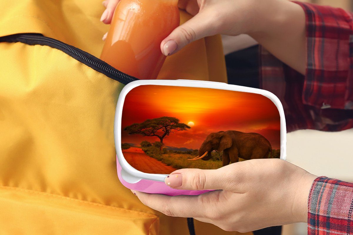 Orange rosa Brotdose Savanne Lunchbox Kunststoff, - für Sonnenuntergang - Erwachsene, Elefant Kunststoff Tiere, Snackbox, MuchoWow - - Kinder, Mädchen, (2-tlg), Brotbox