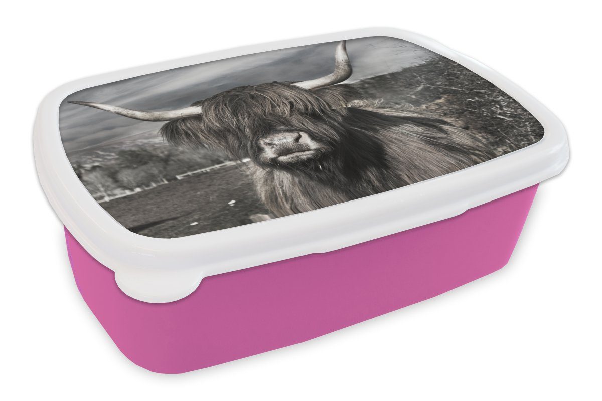 Hörner, Mädchen, Brotbox (2-tlg), Highlander Lunchbox Kunststoff, rosa Tiere für Snackbox, Erwachsene, MuchoWow Kunststoff - Kinder, Schottischer Brotdose -