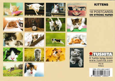 Postkarte nbuch "Kittens * Kätzchen * chatons" mit 18 süßen Katzen-Motiven