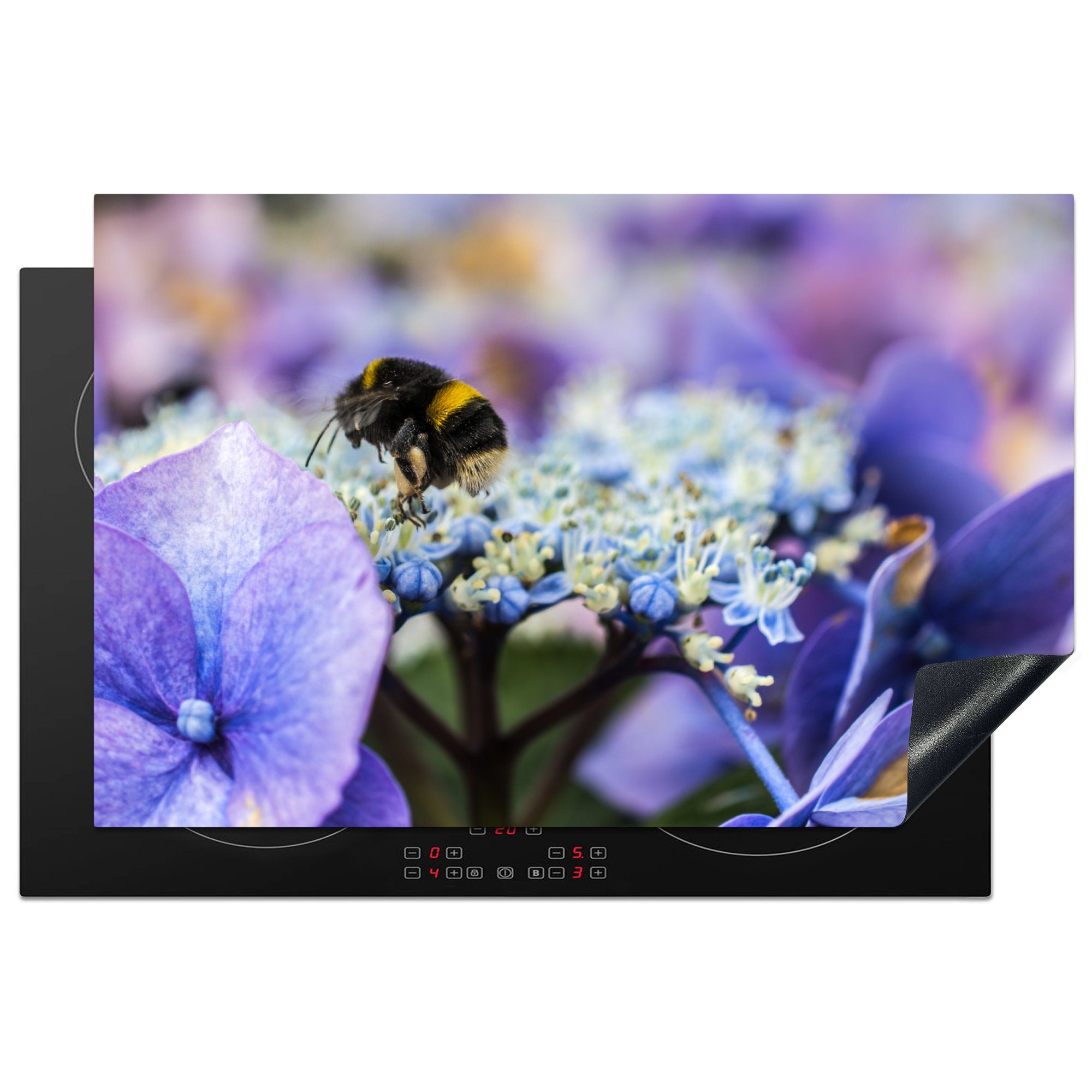 MuchoWow Herdblende-/Abdeckplatte Hummel auf der Suche nach Nahrung auf einer bunten Hortensienblüte, Vinyl, (1 tlg), 81x52 cm, Induktionskochfeld Schutz für die küche, Ceranfeldabdeckung