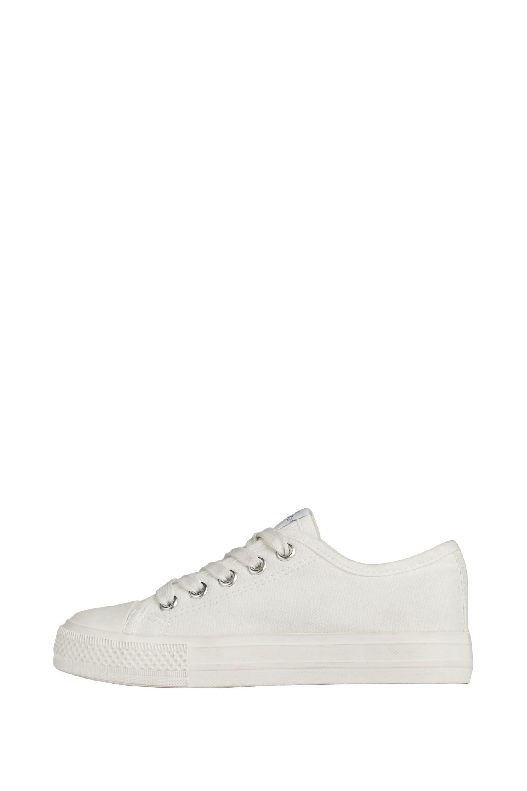 Lipsy Low-Top-Schnürsneaker aus Canvas Sneaker