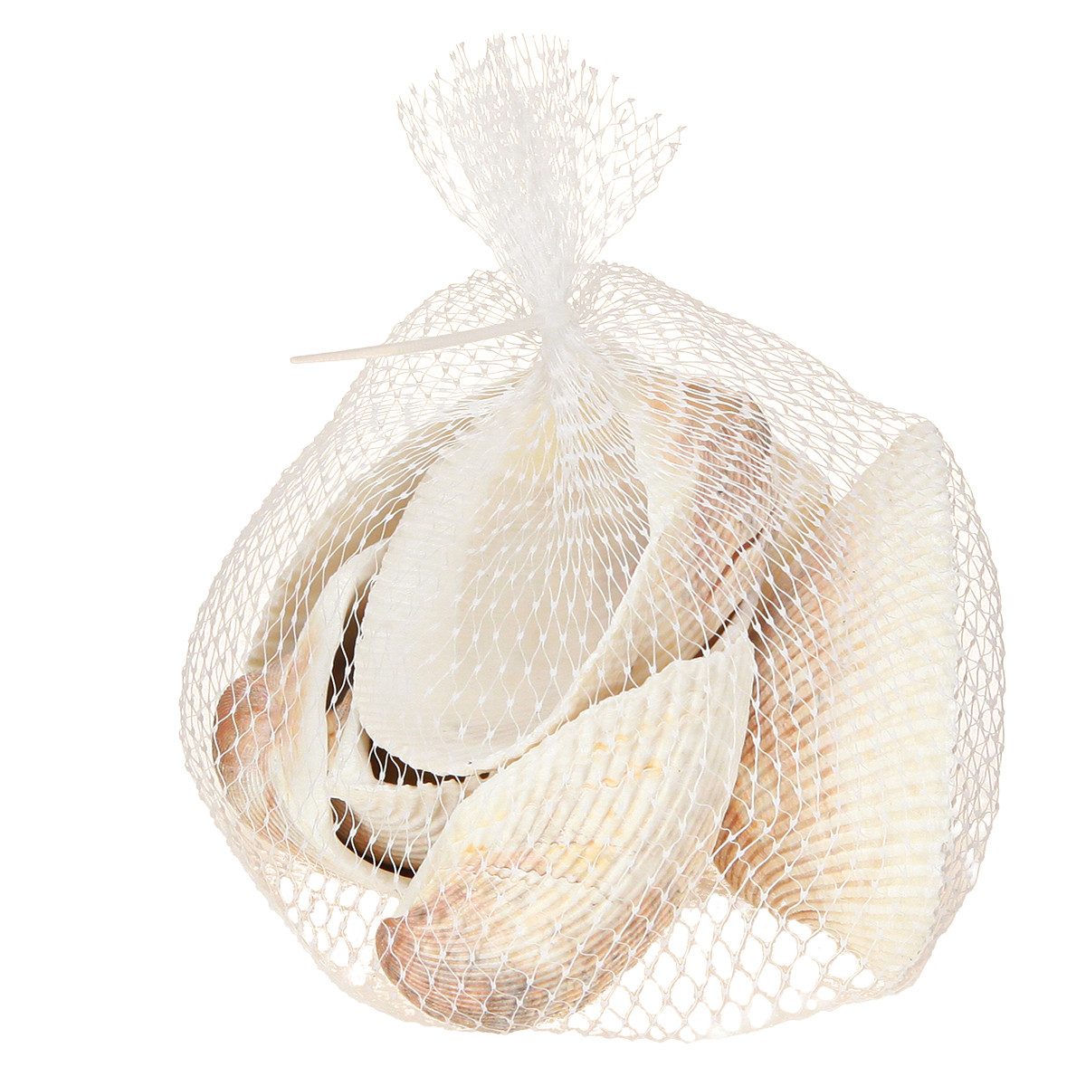 Posiwio Bastelnaturmaterial Maritime Deko Muscheln für kreative Gestaltung und