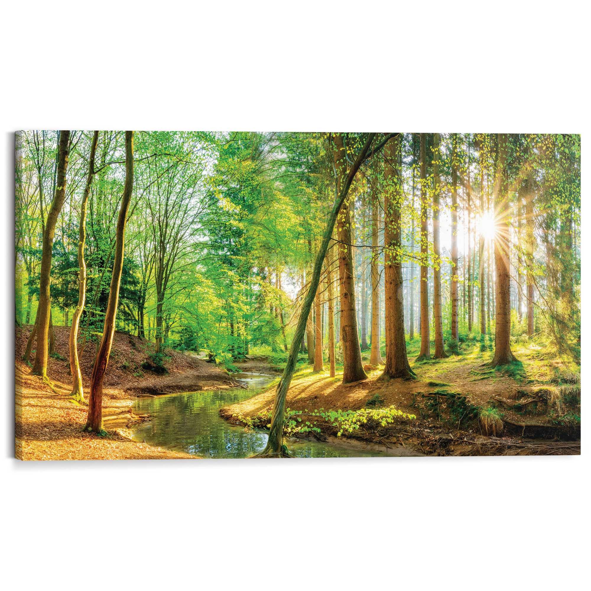 Reinders! Deco-Panel Sonnenschein im Wald, Hobbyraum - Grün - MDF - Wald - 118x70 cm