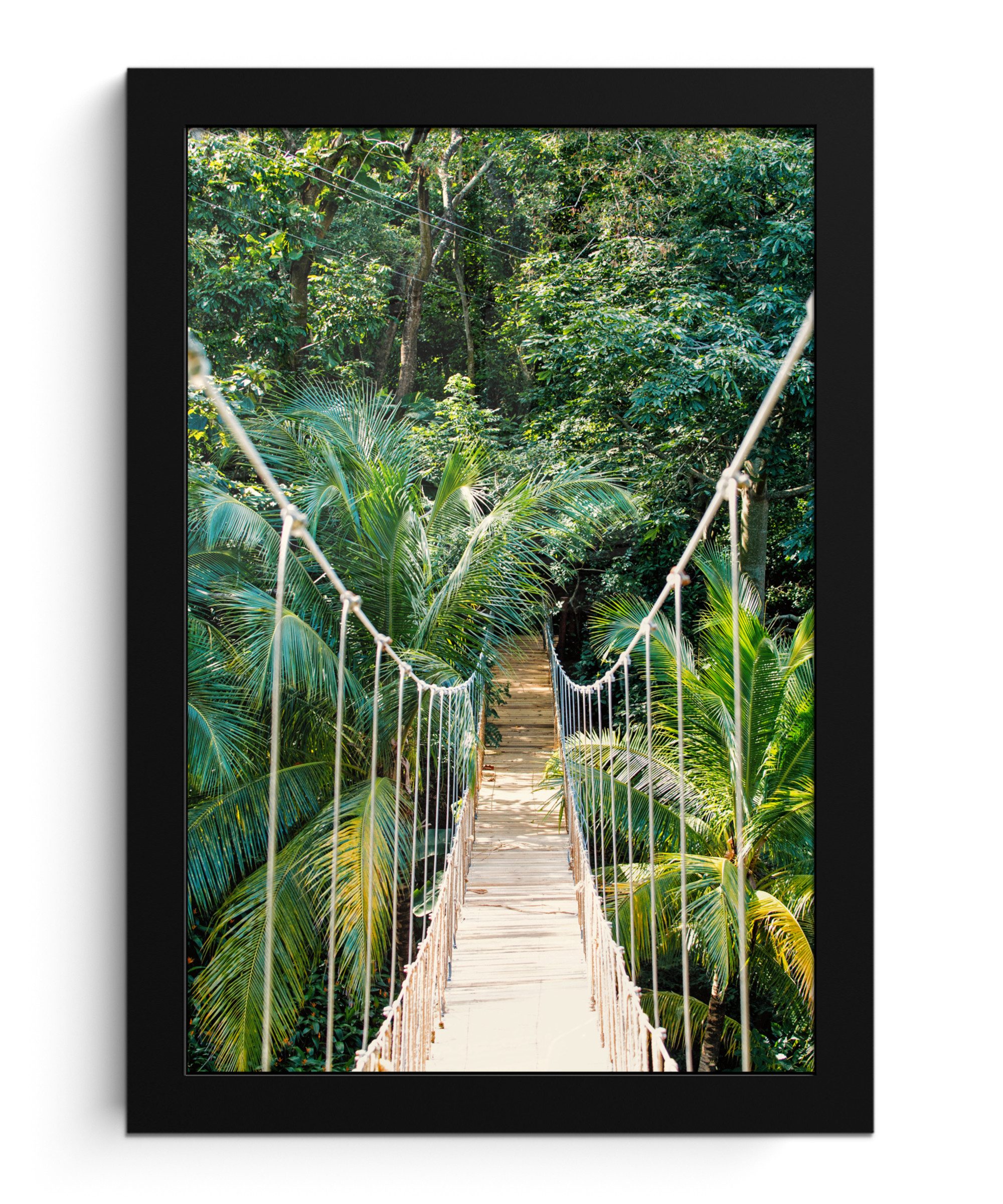 Poster Dschungel - Palme - Brücke - Natur - Pflanzen