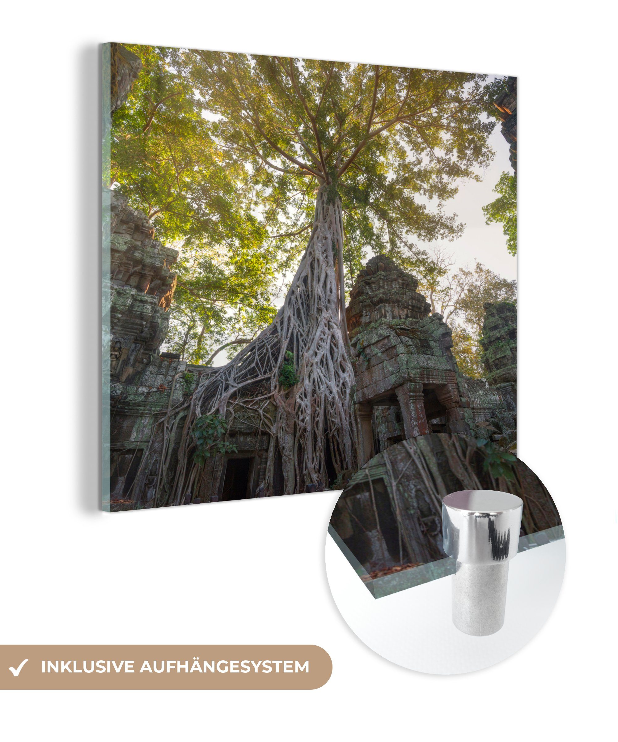 MuchoWow Acrylglasbild Baumwurzeln in Ta Prohm bei Angkor Wat, (1 St), Glasbilder - Bilder auf Glas Wandbild - Foto auf Glas - Wanddekoration