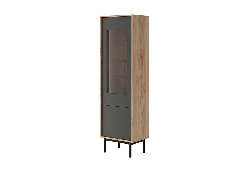 Vitrine Schränke Design Vitrinen JVmoebel Schrank Vitrine - Beleuchtung Moderne BWT54 LED Holz