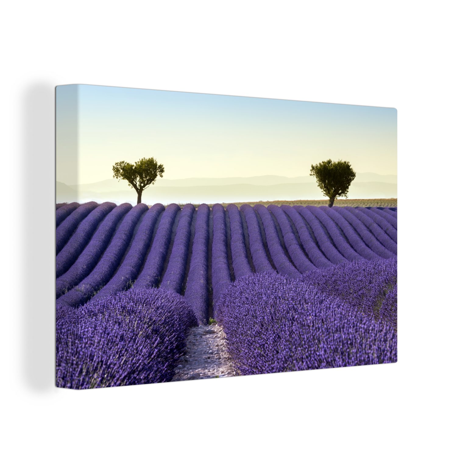 OneMillionCanvasses® Leinwandbild Lavendel - Bäume - Blumen - Natur, (1 St), Wandbild Leinwandbilder, Aufhängefertig, Wanddeko, 30x20 cm