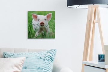 OneMillionCanvasses® Leinwandbild Schwein - Tiere - Groß, (1 St), Leinwand Bilder für Wohnzimmer Schlafzimmer