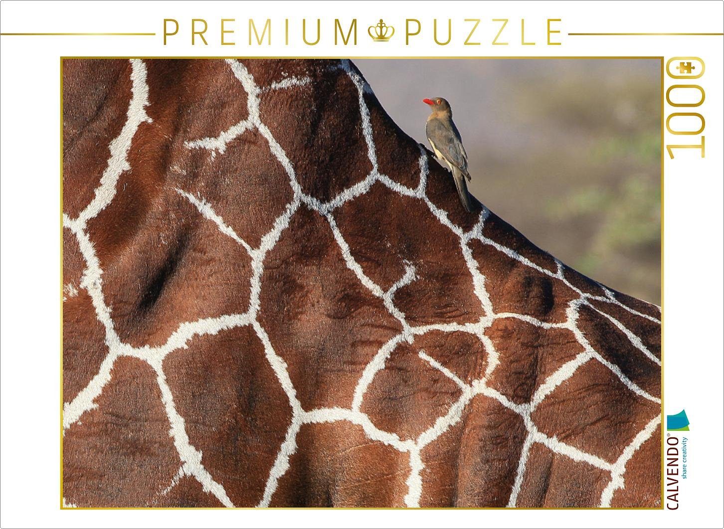 CALVENDO Puzzle CALVENDO Puzzle Giraffen – Sanftheit und Anmut (1) 1000 Teile Lege-Größe 64 x 48 cm Foto-Puzzle Bild von Michael Herzog, 1000 Puzzleteile