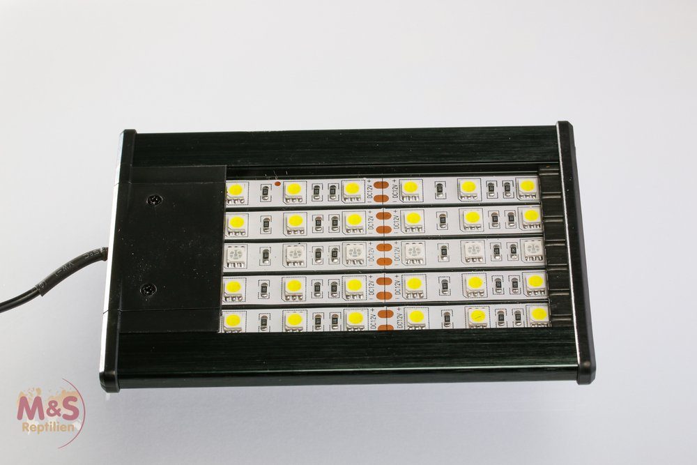 ReptiZoo Terrarienleuchte ReptiZoo LED Terrarienlampe, 6 Watt (13x9 cm) (LED001)