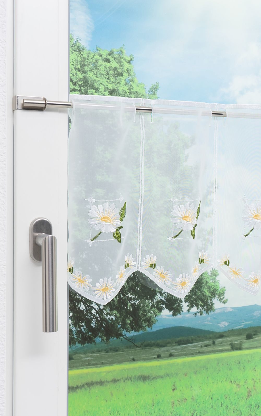 Plauener Spitze® Scheibengardine Flora (1 St), transparent, HxB 30x48.9cm