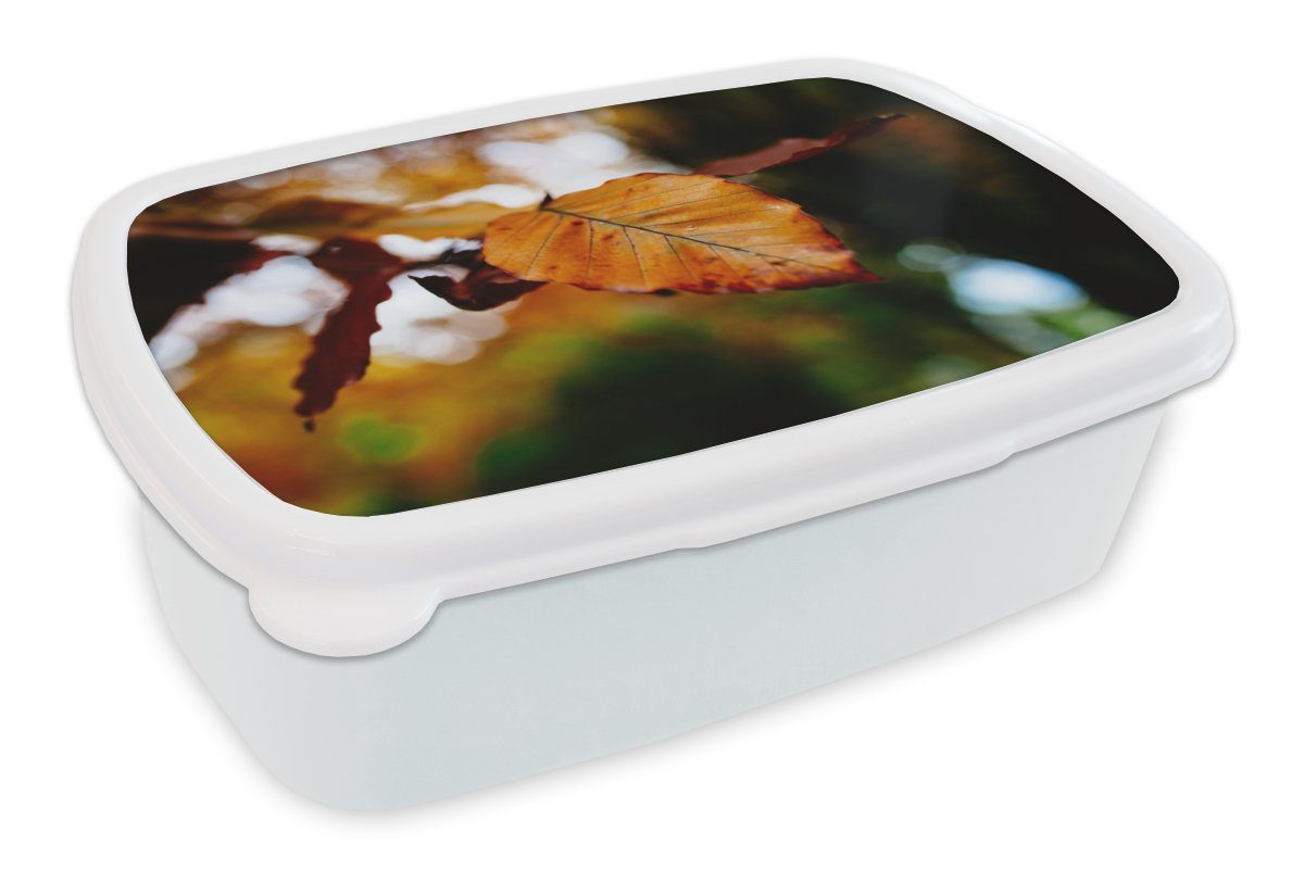 MuchoWow Lunchbox Buche - Herbst - Laub, Kunststoff, (2-tlg), Brotbox für Kinder und Erwachsene, Brotdose, für Jungs und Mädchen weiß