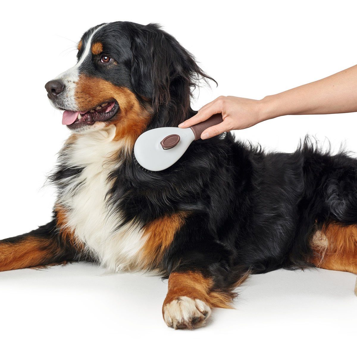 Hunter Tierbedarf Fellbürste Pflegebürste Spa selbstreinigend braun/grau für Hunde