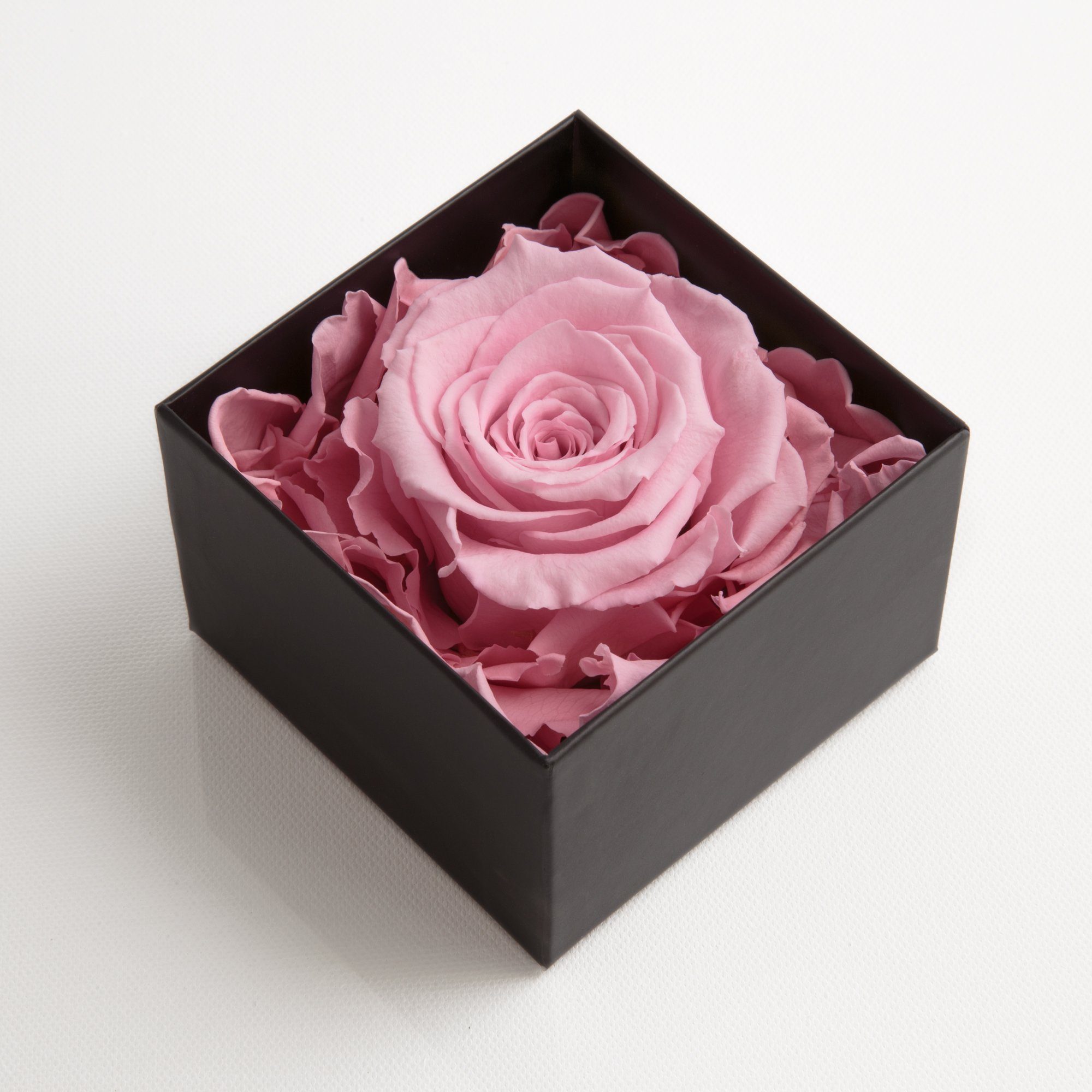 Kunstblume 1 Infinity Rose haltbar 3 Jahre ewige Rose in Box Rose, ROSEMARIE SCHULZ Heidelberg, Höhe 6.5 cm, Echte Rose haltbar bis zu 3 Jahre, Made in Germany
