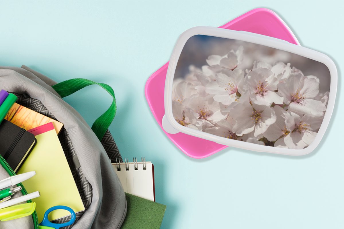 MuchoWow Brotdose rosa Blumen Blüte, Brotbox (2-tlg), Erwachsene, Kinder, Sonne Kunststoff Lunchbox - Snackbox, für Mädchen, Kunststoff, -