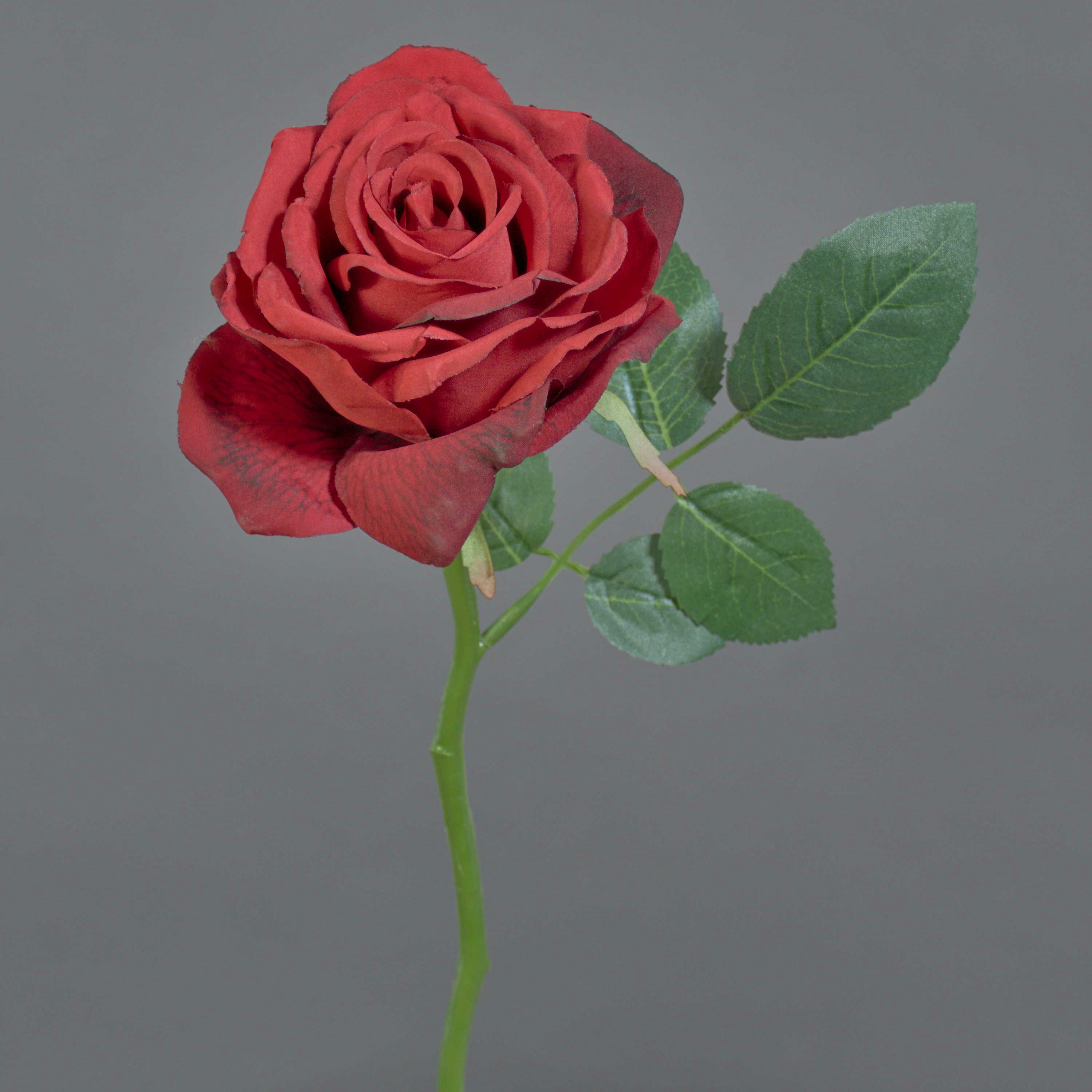 Kunstblume Kunstrose NIKOLETA, rot, 30cm, Ø12cm Rose, artplants, Höhe 30.0 cm