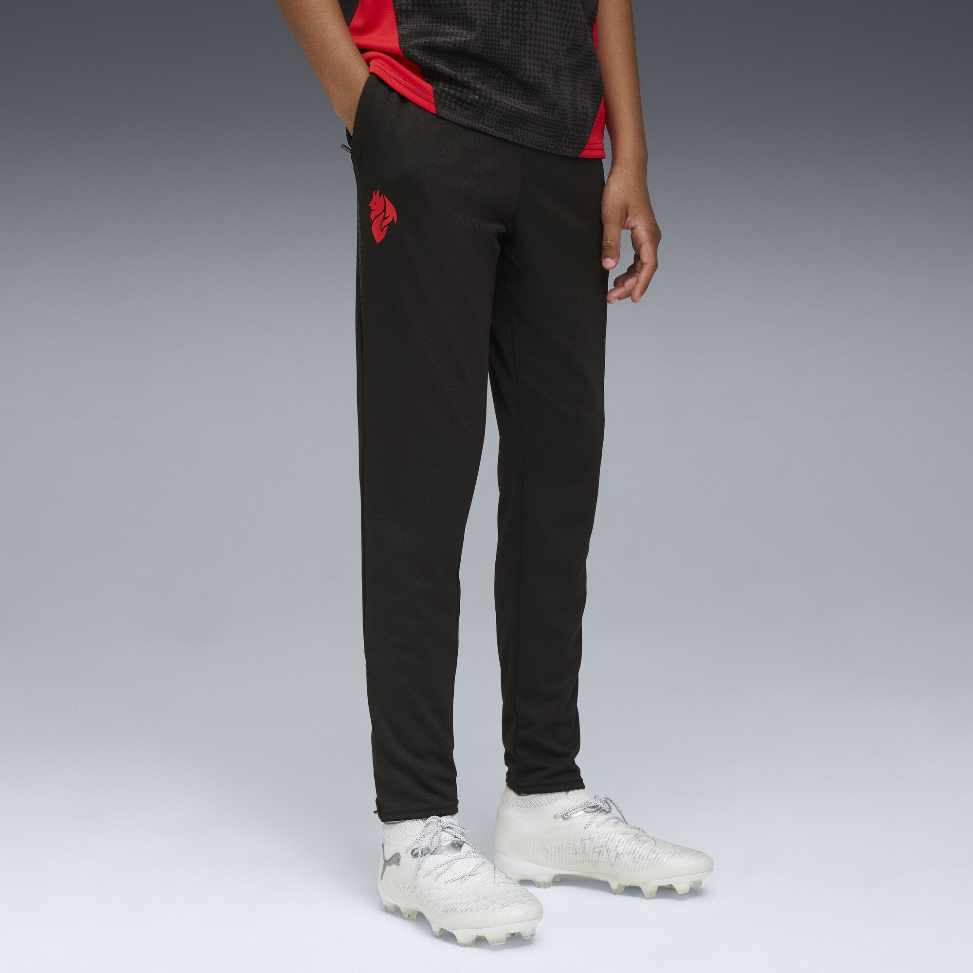 PUMA Sporthose AC Milan Trainingshose Jugendliche