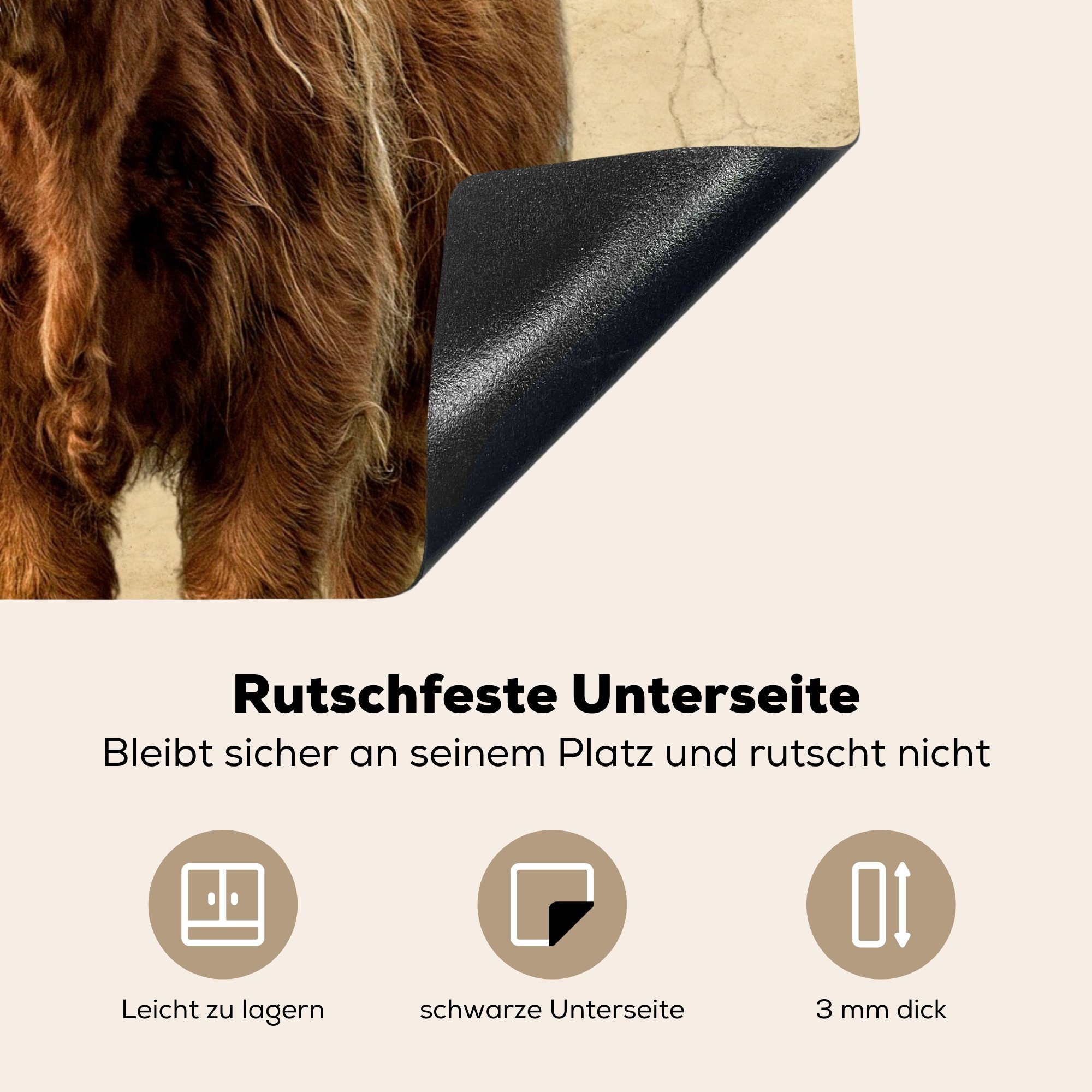 Schottischer Ceranfeldabdeckung Highlander 59x52 - Vinyl, die Herdblende-/Abdeckplatte für tlg), MuchoWow - Induktionsmatte küche, Kuh, cm, Vintage (1