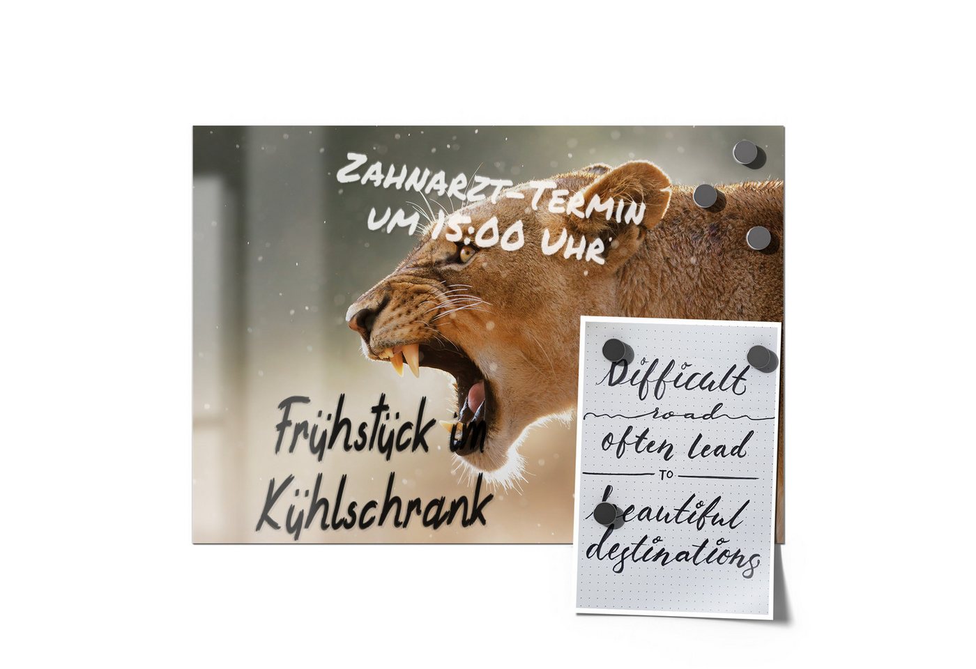 Thumbnail - DEQORI Magnetfolie 'Königin des Brüllens', beschreibbar universal Magnetmatte magnetisch Folie Planer Kalender