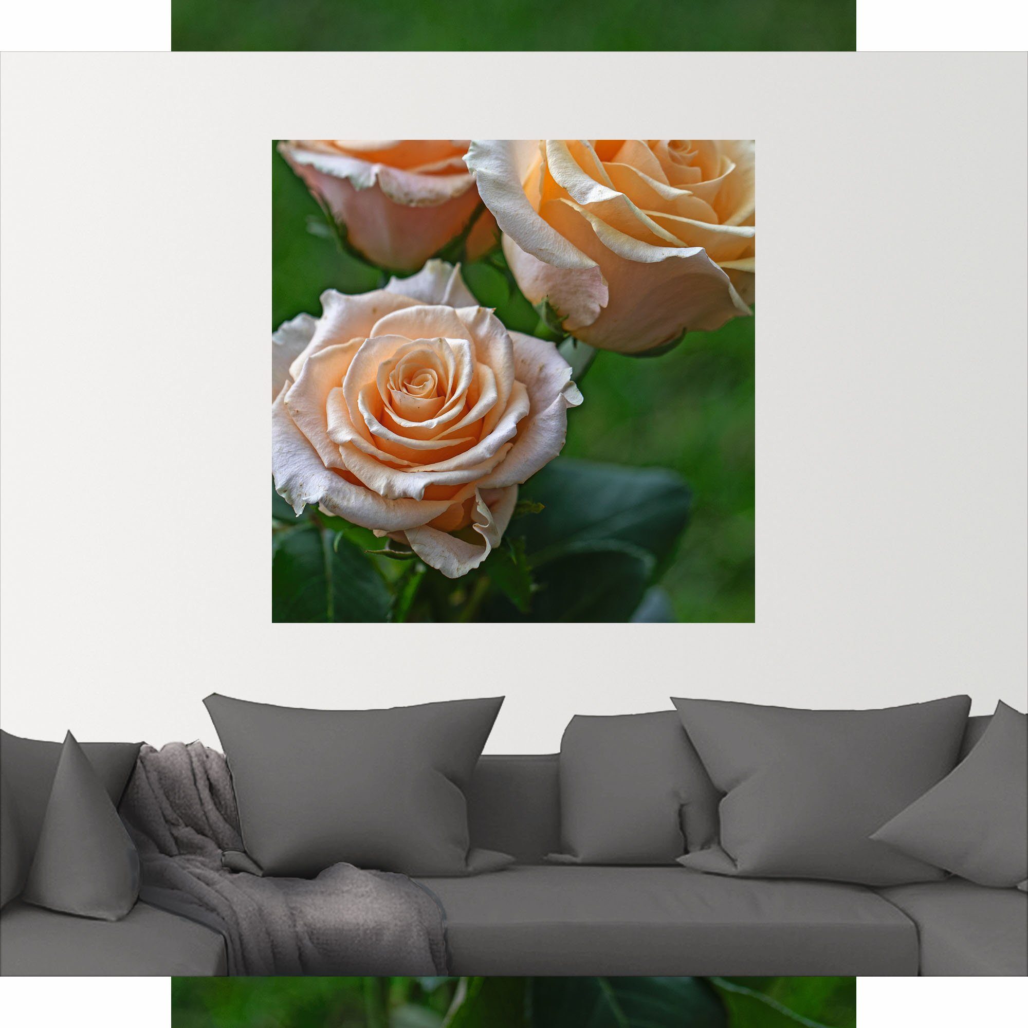 Artland Wandbild wunderschöne Rosen, als St), Poster in Leinwandbild, oder versch. Alubild, Größen (1 Blumenbilder Wandaufkleber
