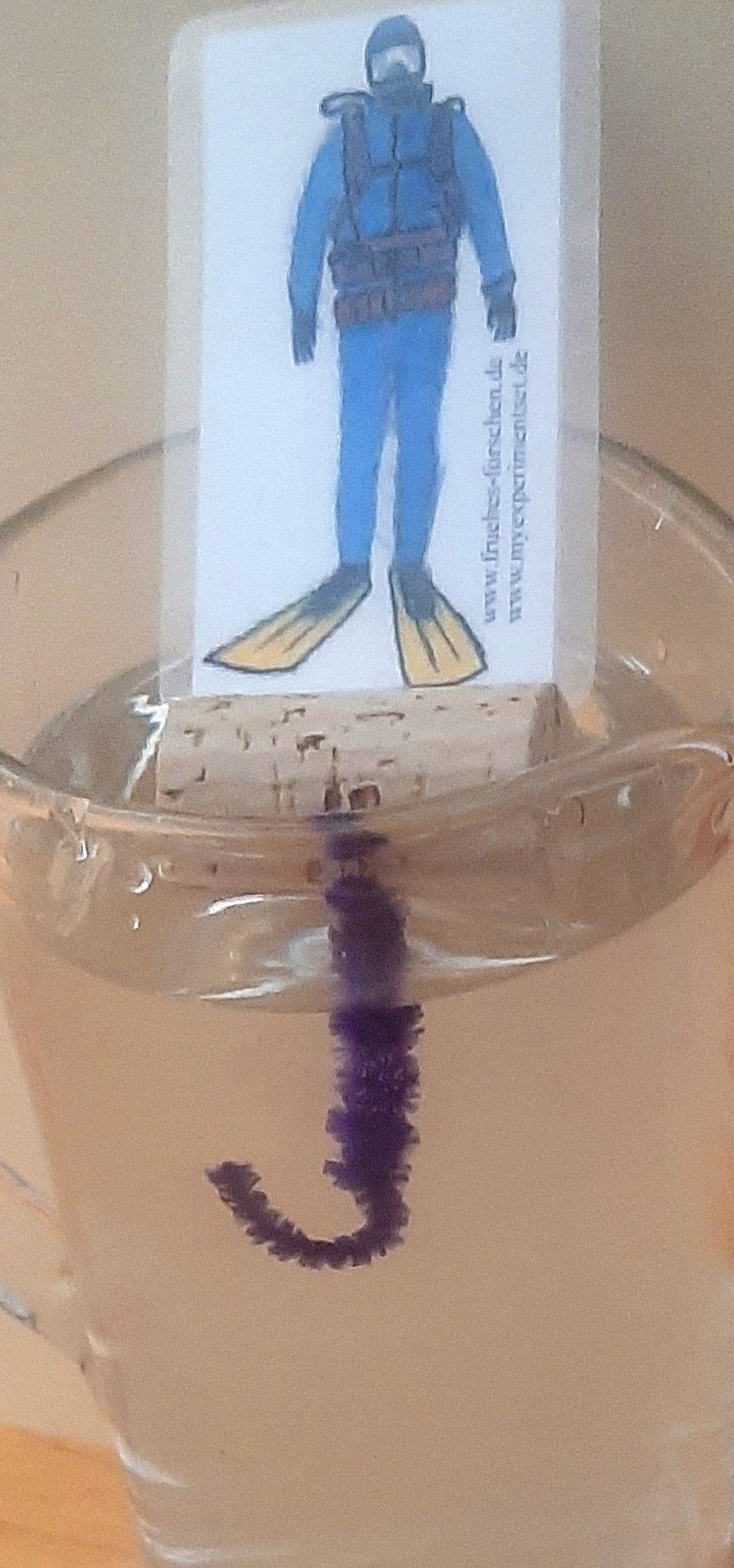 myExperimentSet Experimentierkasten "Auf Tauchgang", (1-tlg., Experiment zur Dichte von Flüssigkeiten), MINT-Förderung