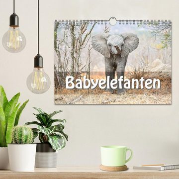 CALVENDO Wandkalender Babyelefanten (Wandkalender 2024 DIN A4 quer), CALVENDO Monatskalender