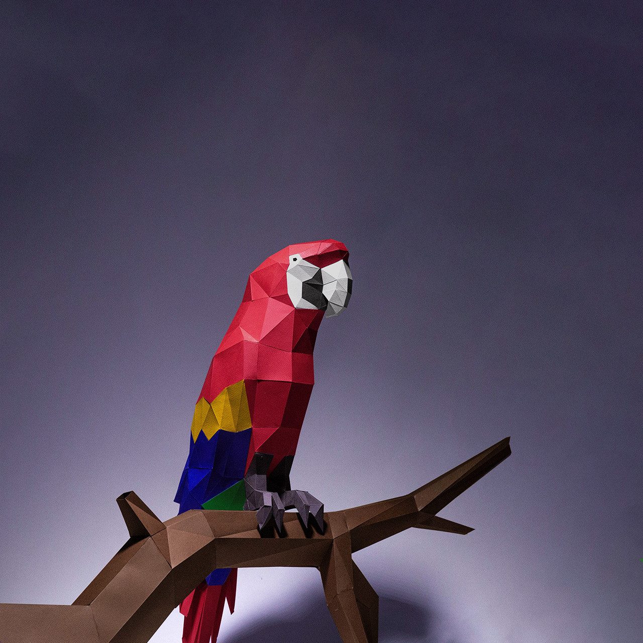 DINO SONO Papierdekoration 3D Papagei Wanddeko Papiermodell Origami DIY Basteln Puzzel Geschenk